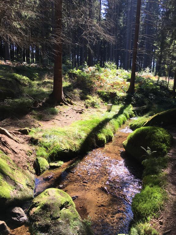 Apartman Adele Rumburk Bagian luar foto